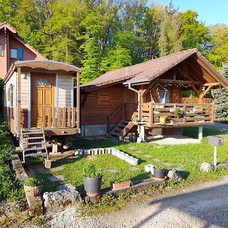 Location Type Gite, Chambre D'Hote, Meuble De Tourisme Dans Joli Petit Chalet Typique Et Ou Jolie Roulotte Type Boheme Waldighoffen エクステリア 写真